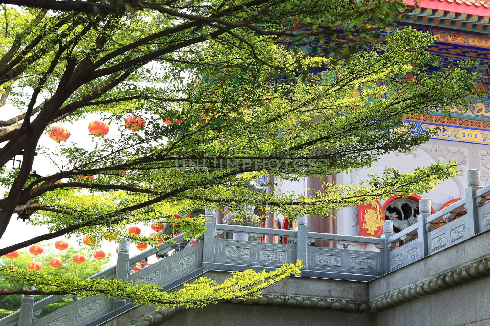 Lantern Festival, Chinese New Year, Jinan, China