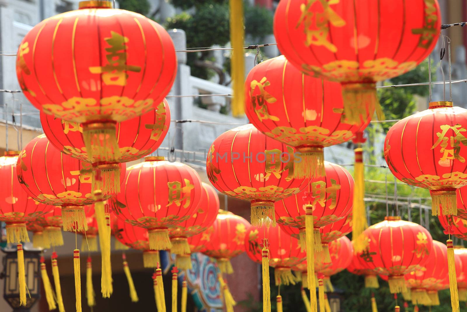 chinese lanterns