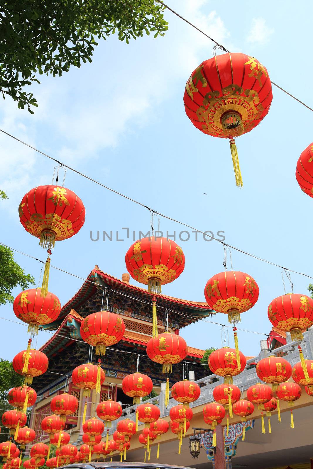 chinese lanterns by rufous