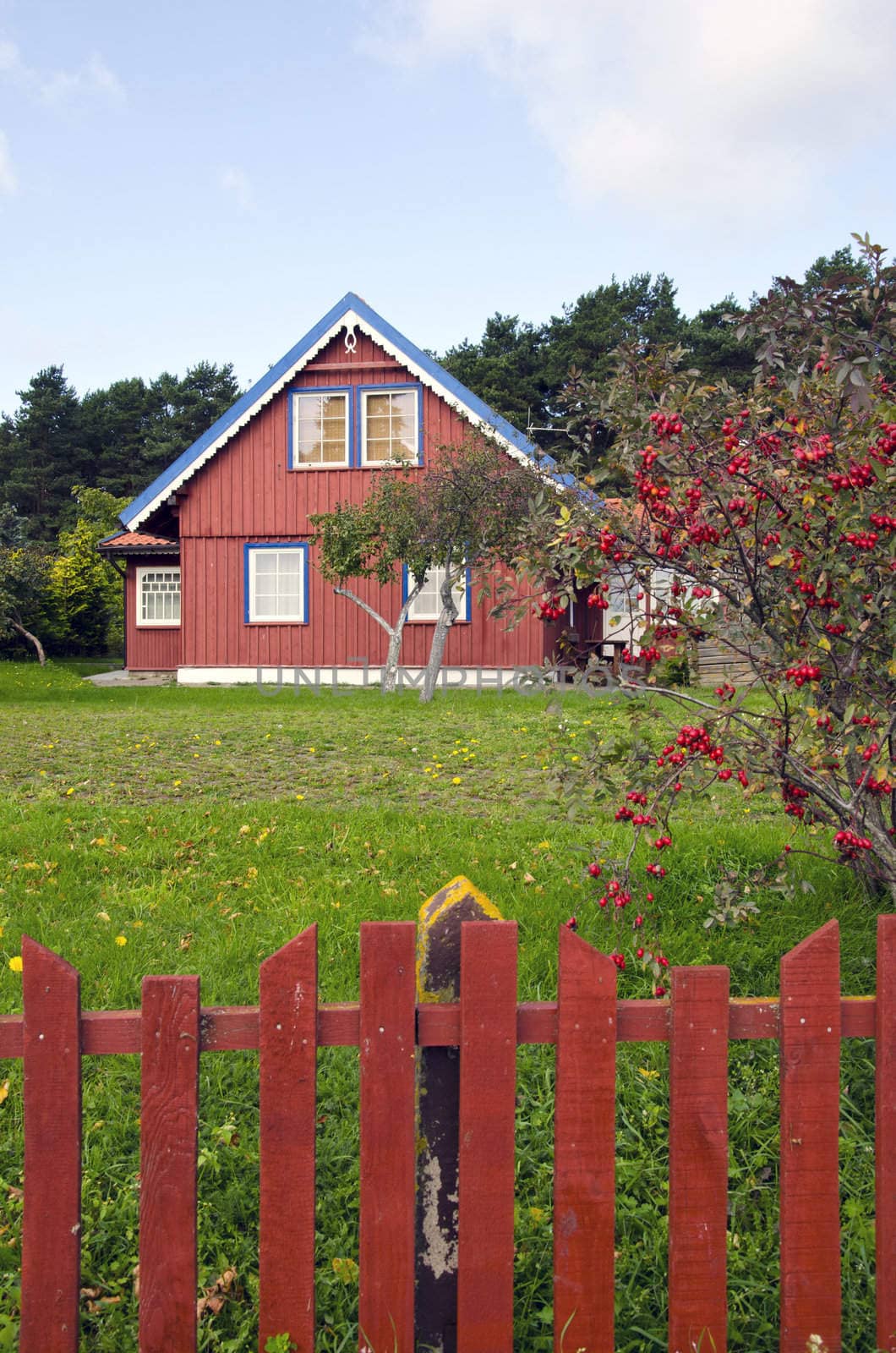 Homestead house with a large yard and garden. by sauletas