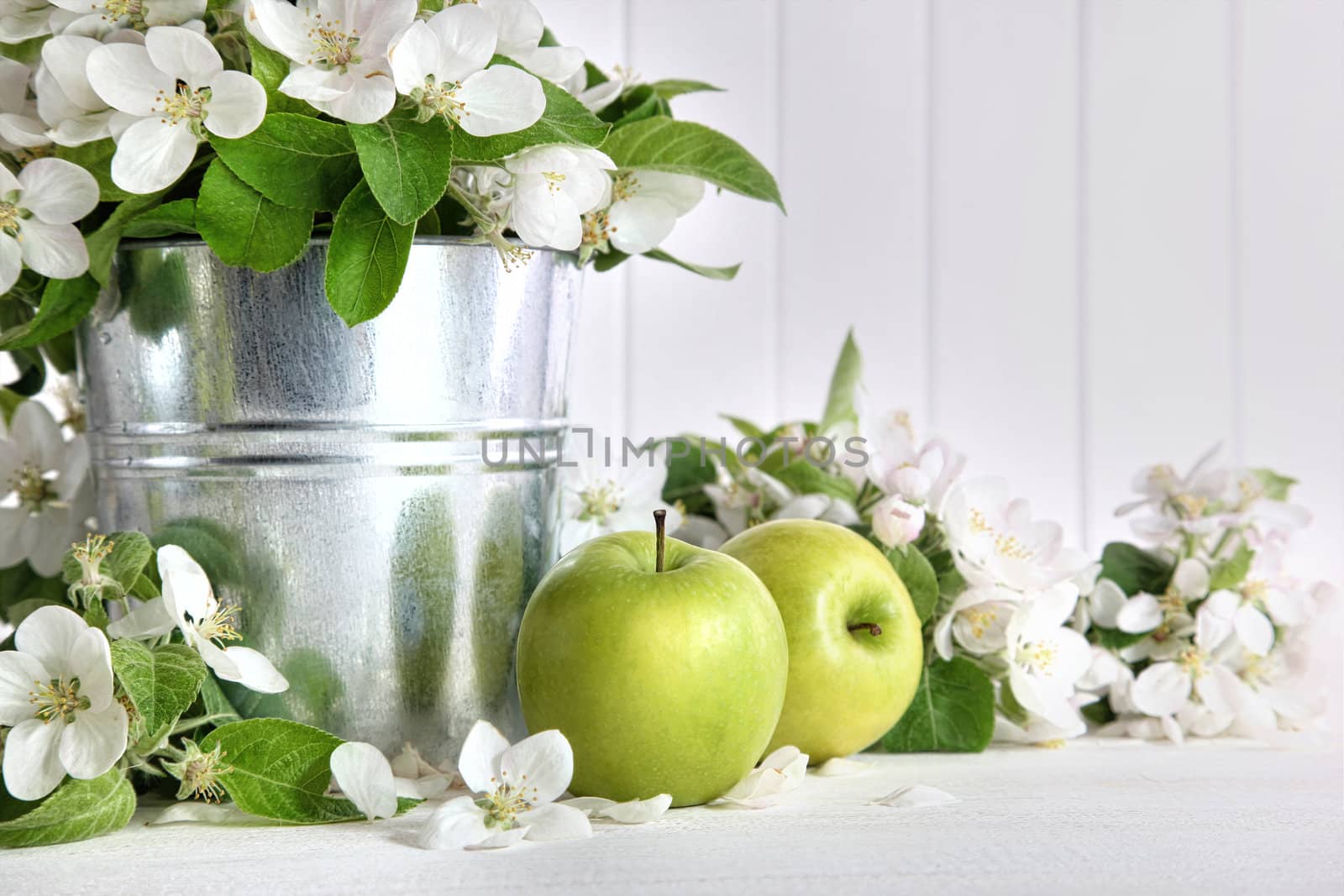 Green apples with blossoms on table by Sandralise