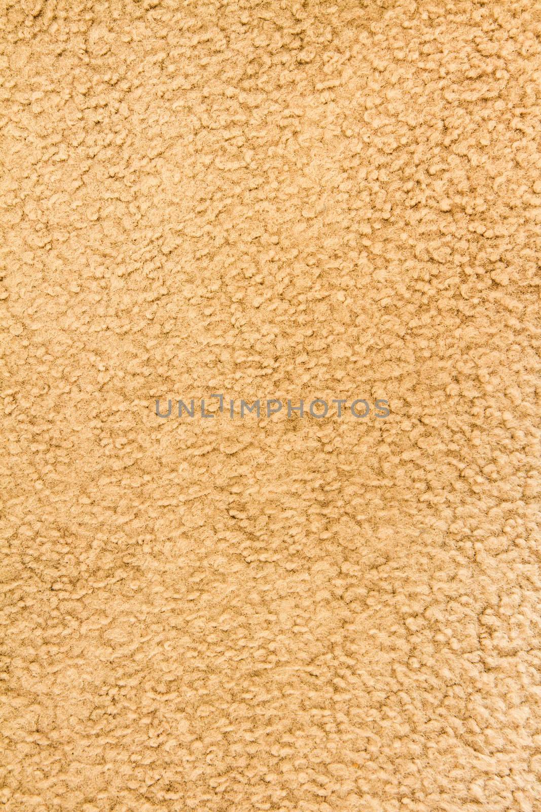 Carpet has seen some wear in it's life but still holding together.