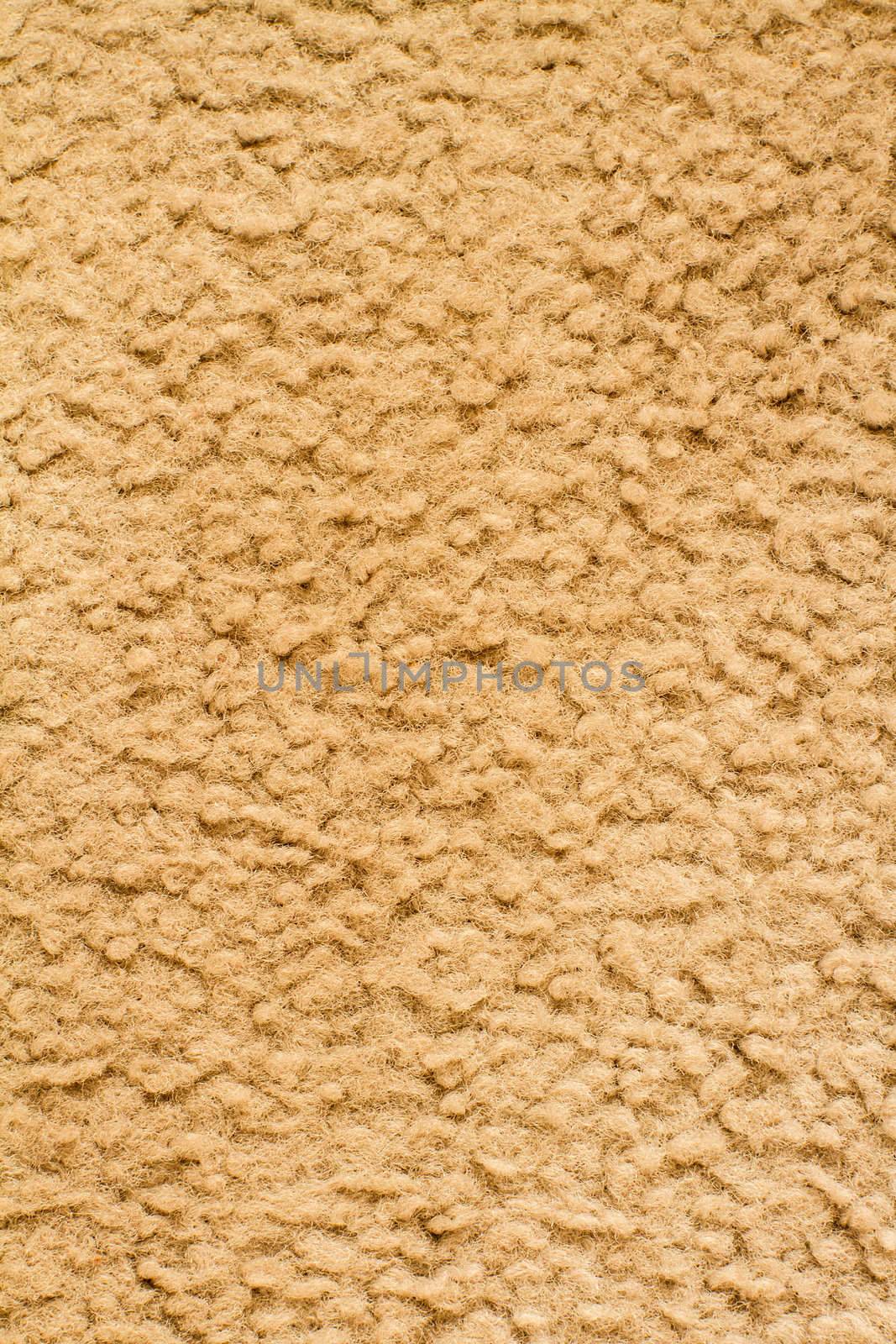 Top down view of carpet that has seen a little wear but still in decent shape