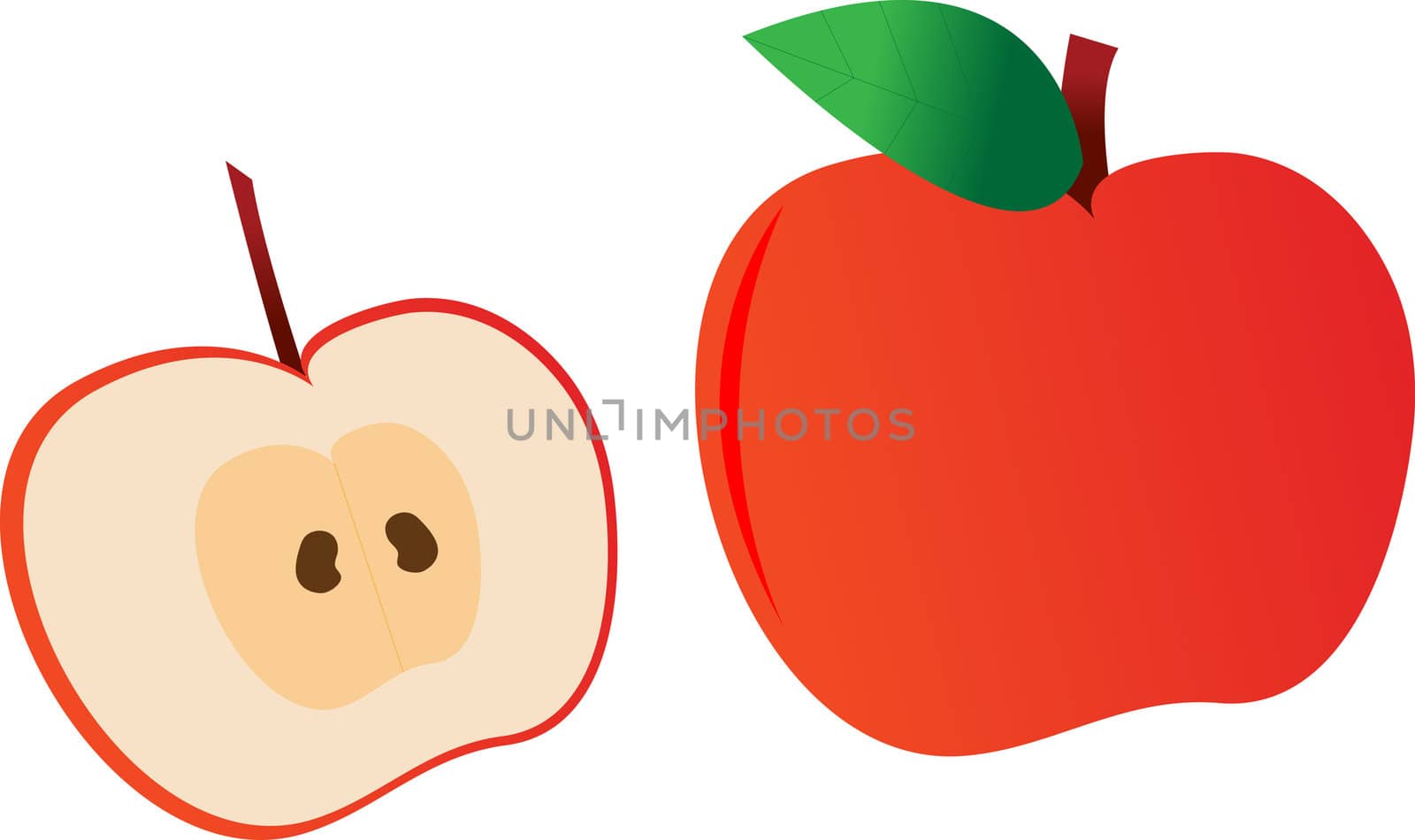 Red Apple and cut red apple on white background