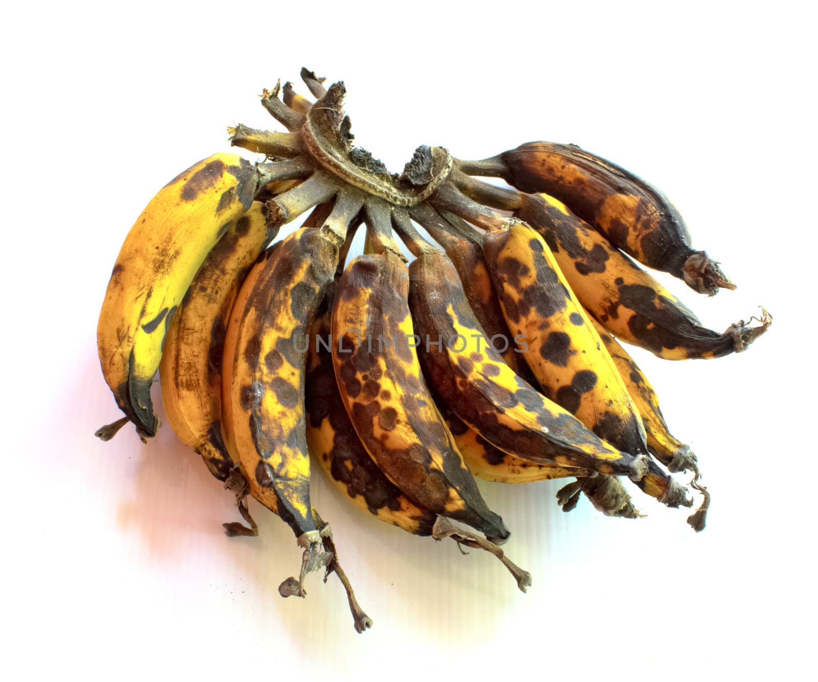 Overripe bananas in front of a white background