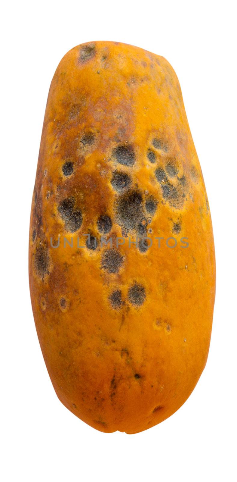 a rotten papaya on a white background