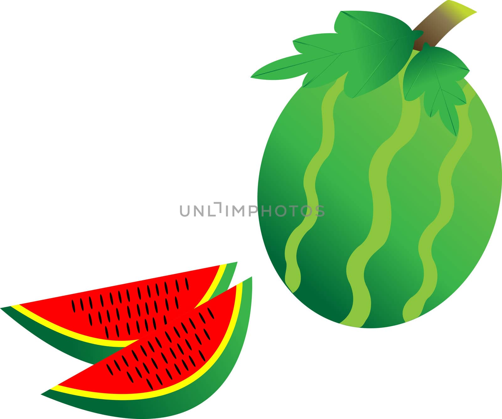 watermelon and cut watermelon isolated on white background