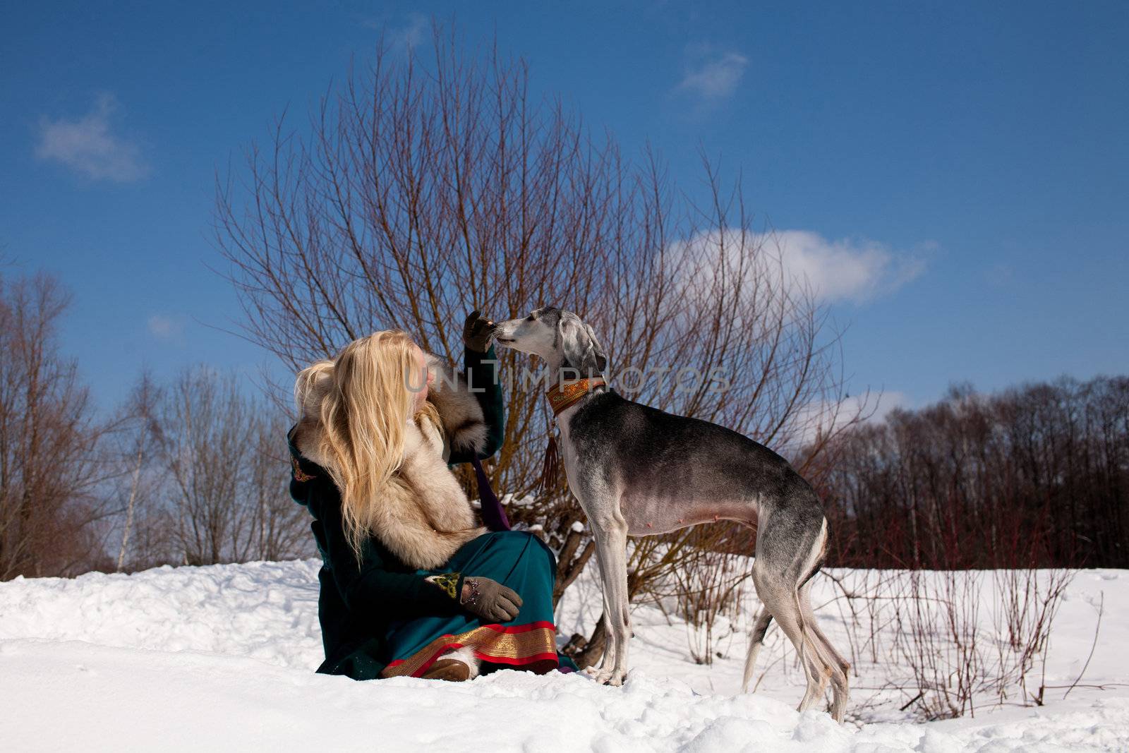 A blonde girl and a standing grey saluki on snow
