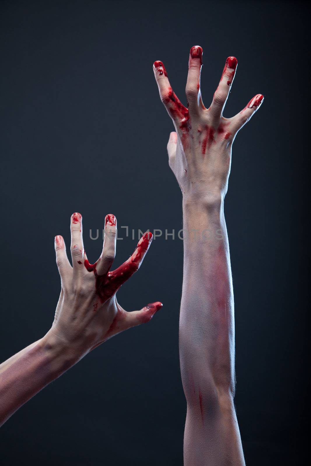 Zombie bloody hands, gray background 