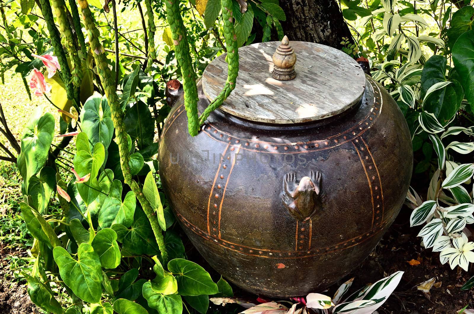 Retro jar under tree in garden