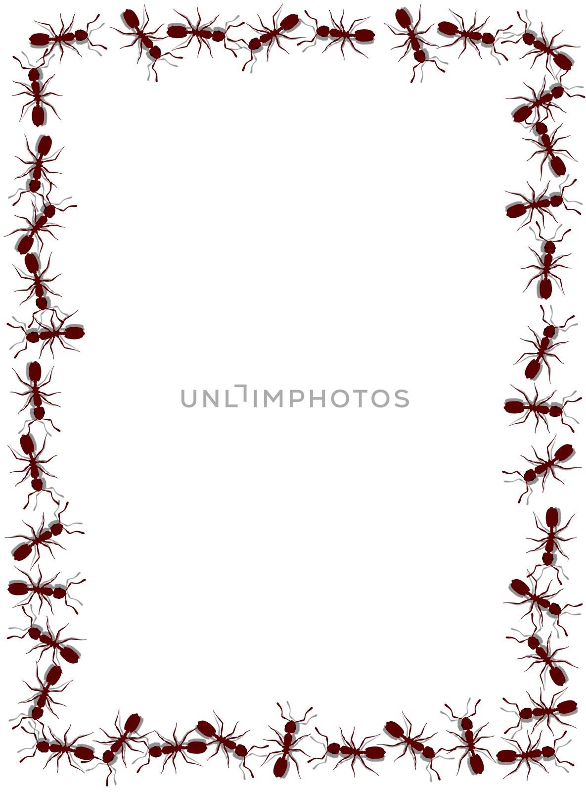 Illustrated frame made of lots of ants