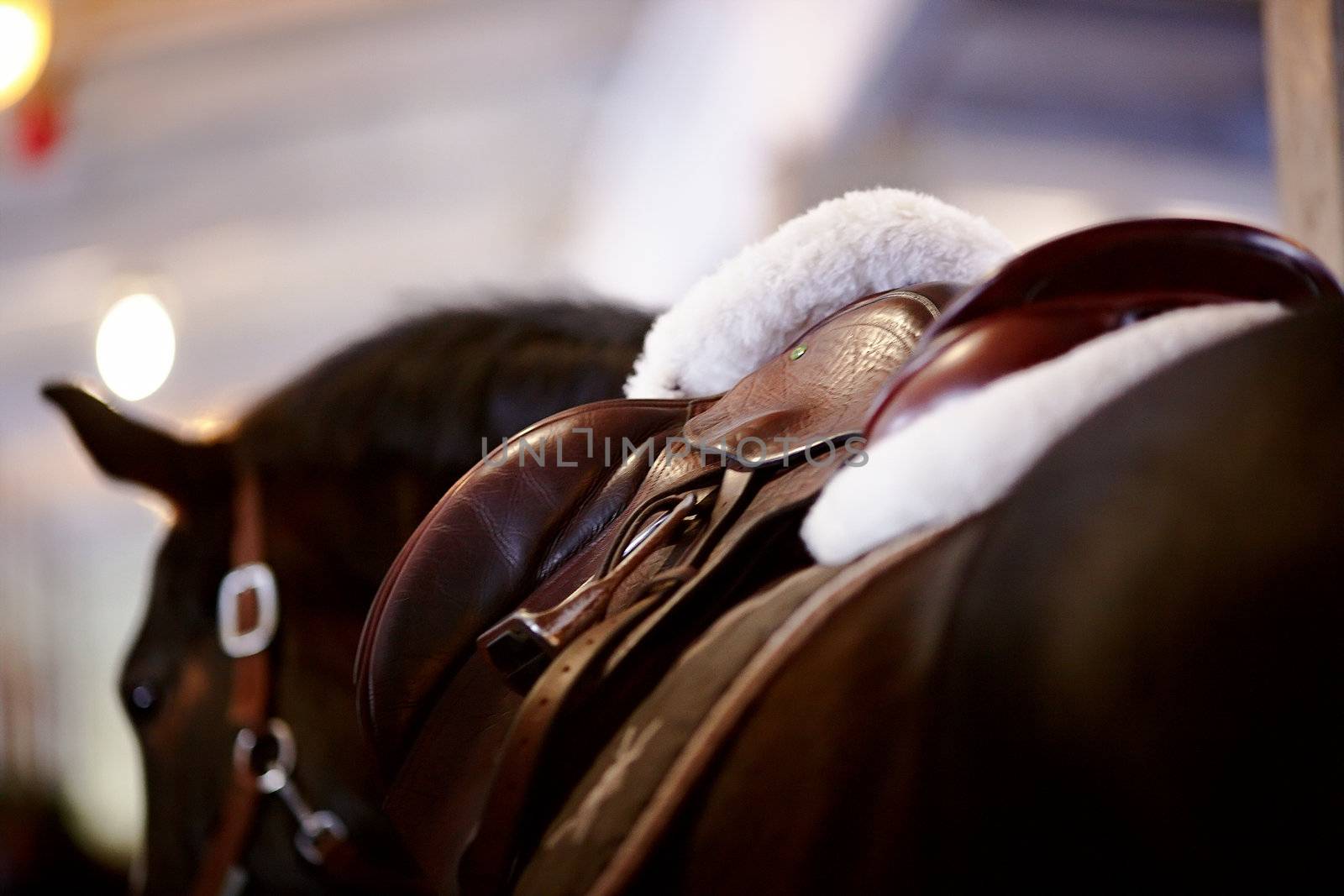 Saddle with stirrups on a back of a horse