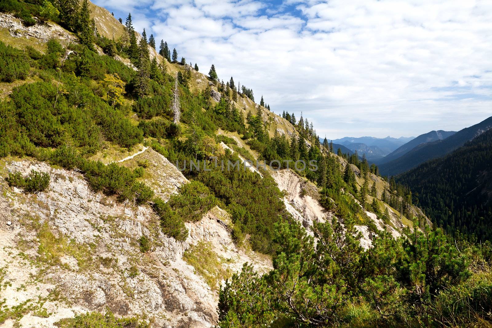 mountain covered with forest in Bavarian Alps