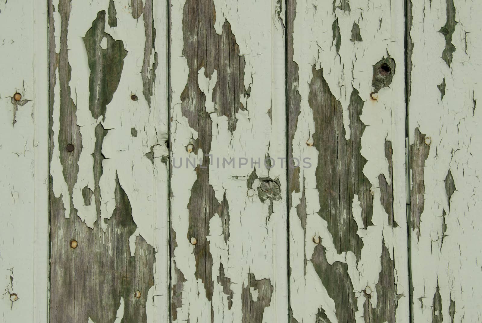 green peeling wooden wall, textured background