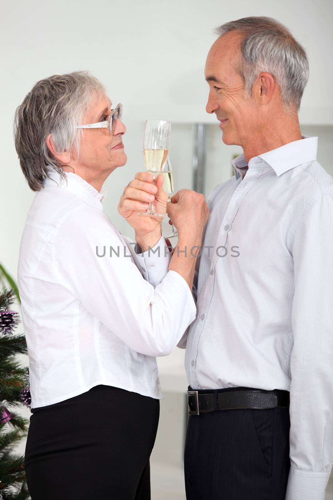 mature couple drinking champagne