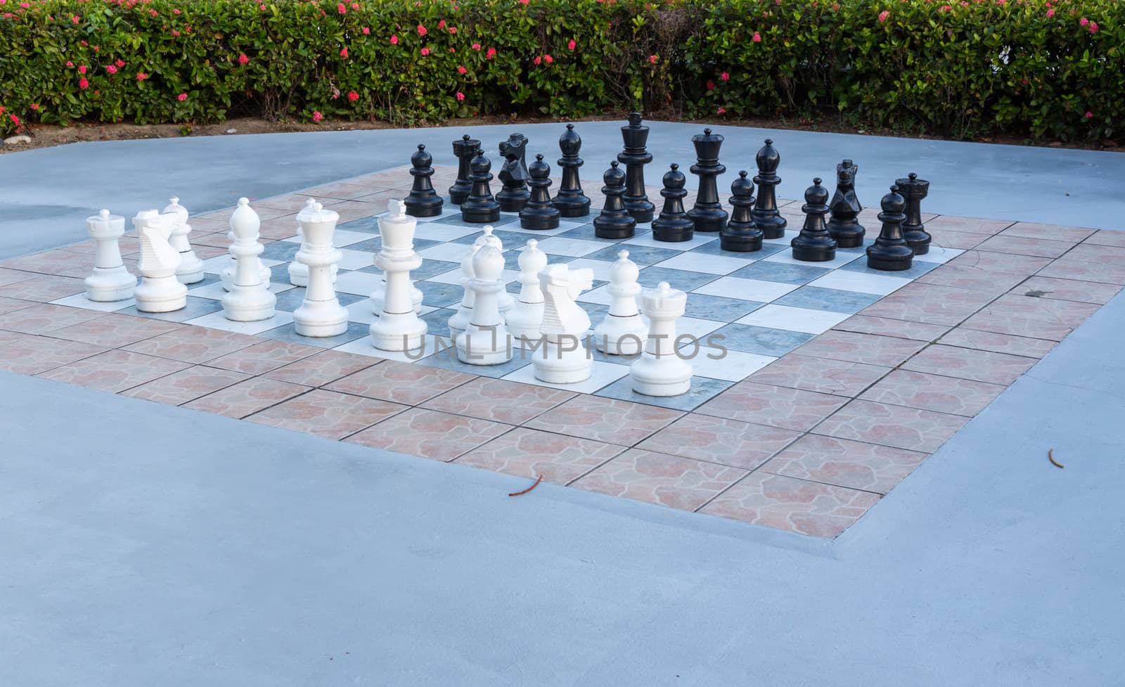 Large white and black pieces in outdoor chess set in flower garden