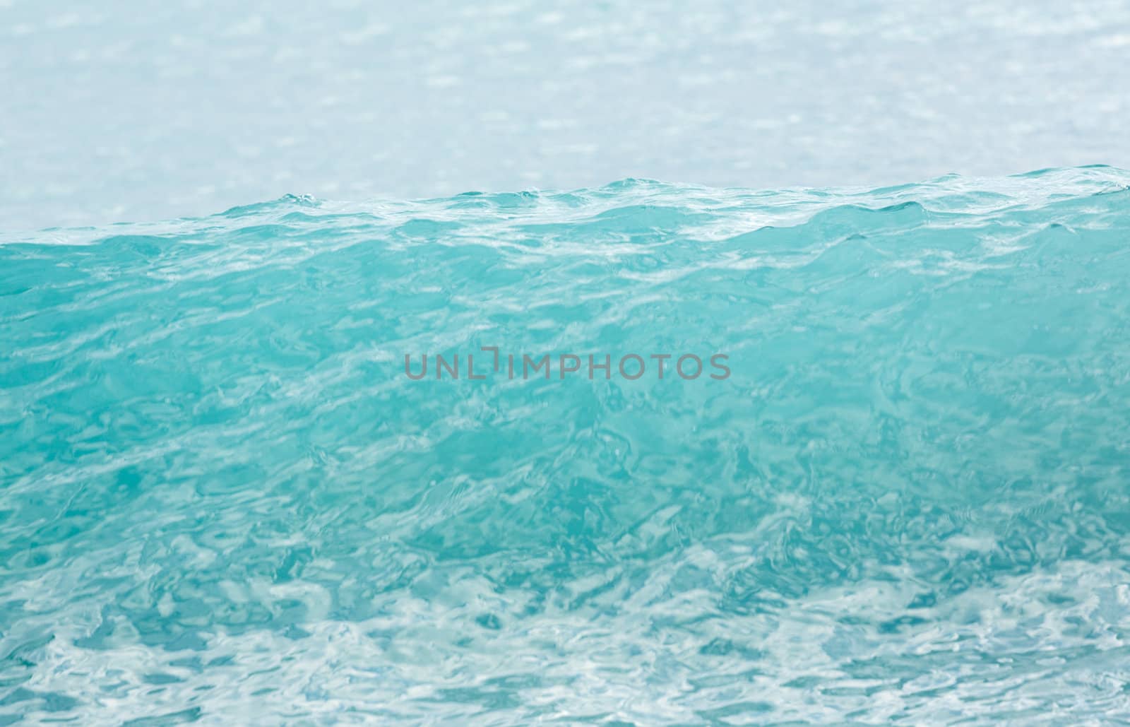 Turquoise blue wave building to peak before breaking as surf on the shore