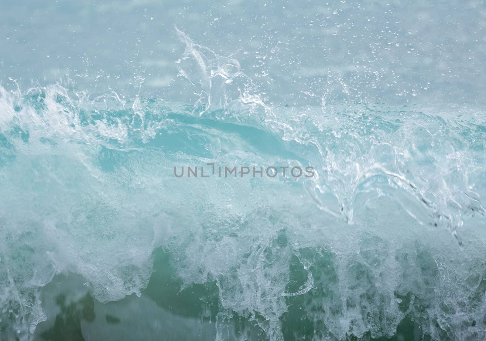 Turquoise blue wave building to peak breaking as surf on the shore