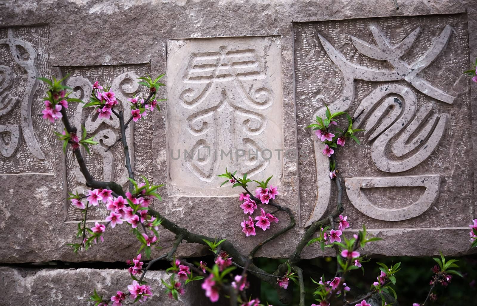 Old Chinese Characters with peach blossoms Chengdu Sichuan China by bill_perry