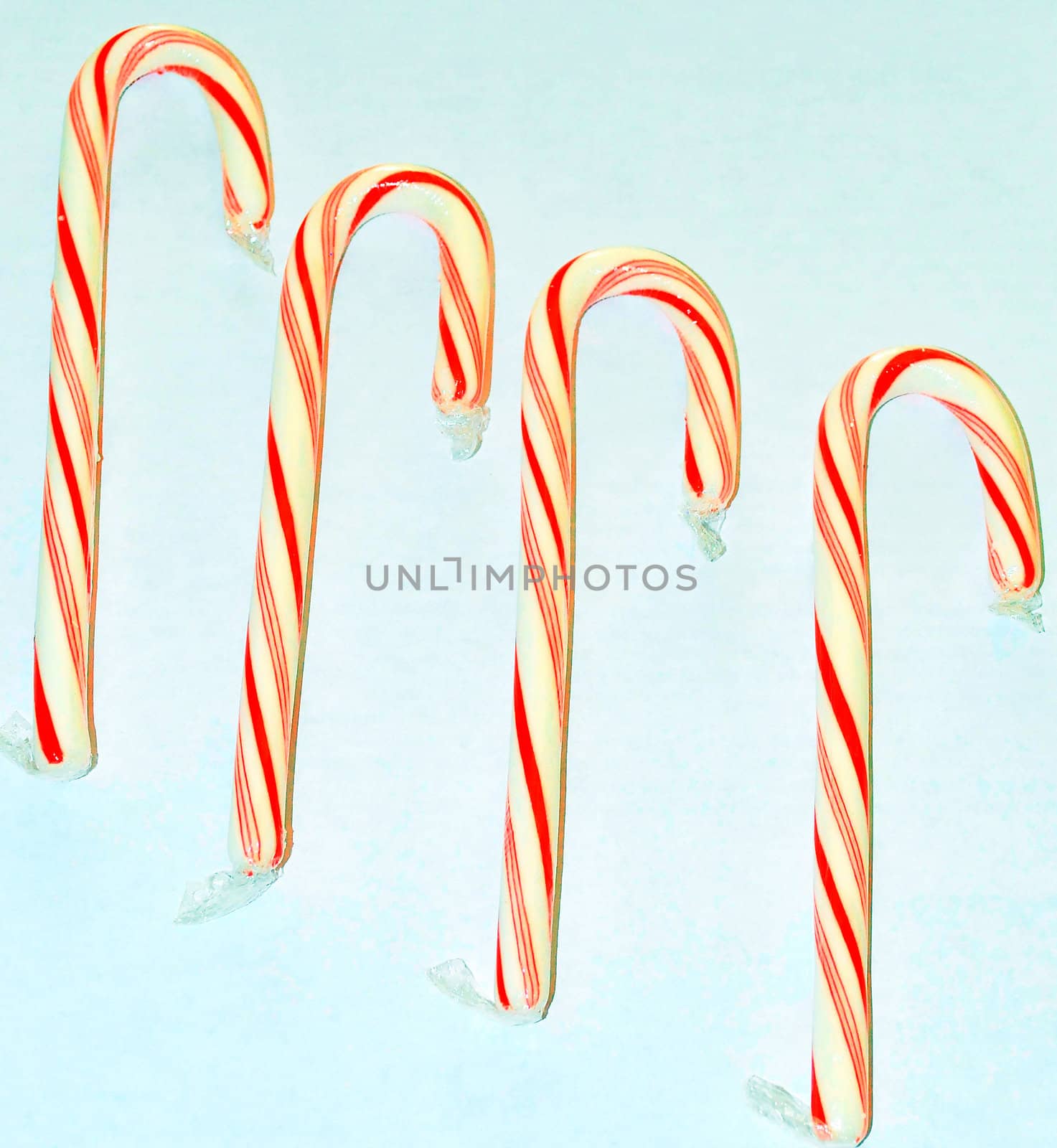 Candy canes on display for xmas.