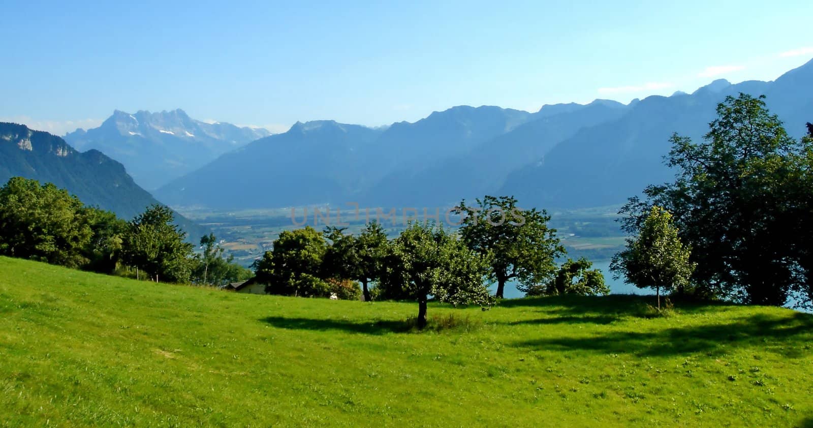 Panoramic view on the Alps mountains by beautiful summer day, Switzerland