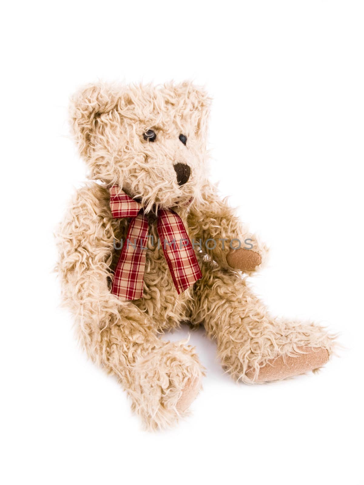 Brown teddy-bear on white background.