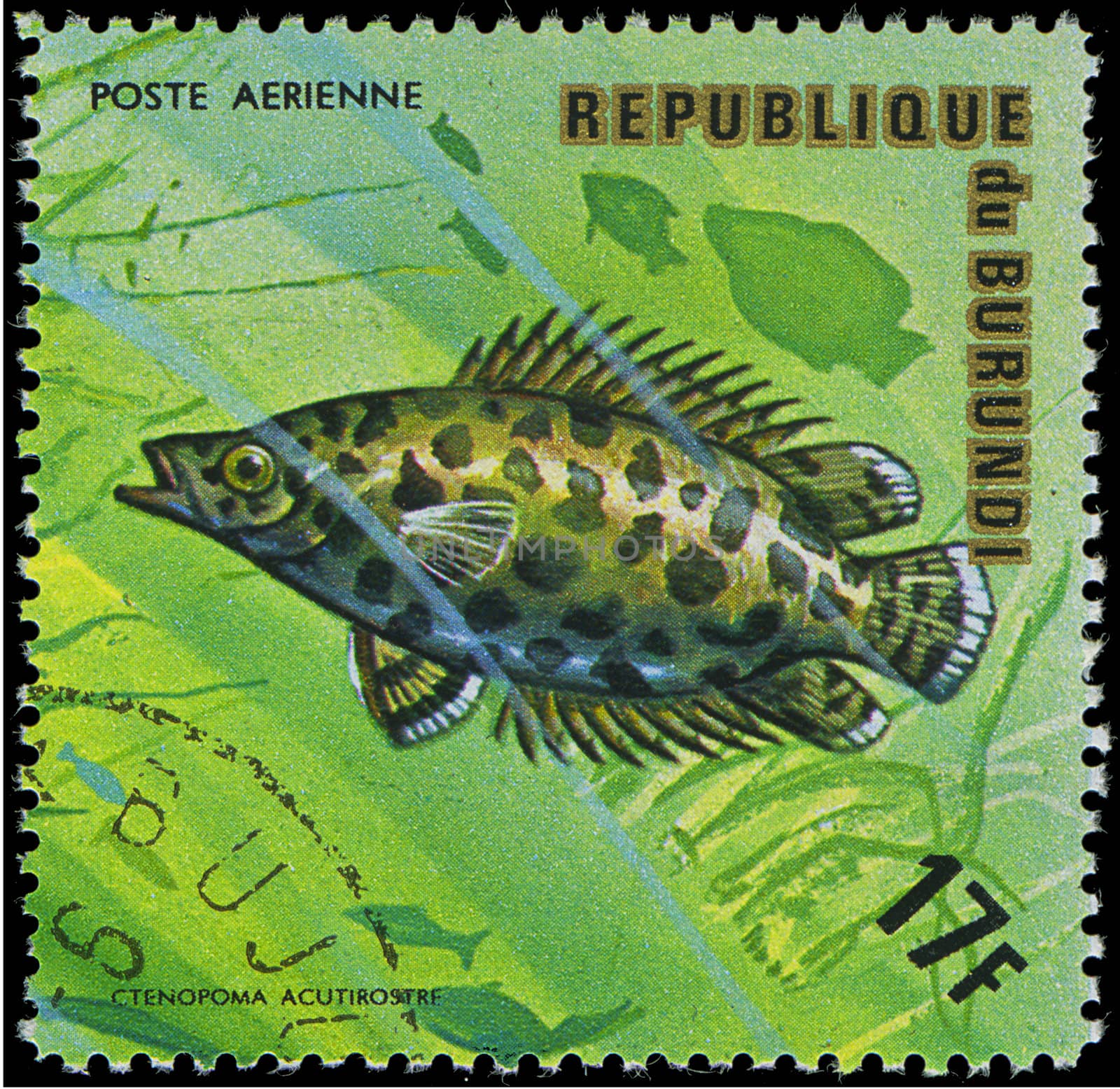 Republic of Burundi, - CIRCA 1975: A stamp printed by Burundi shows the fish Ctenopoma acutirostre, circa 1975 by Zhukow