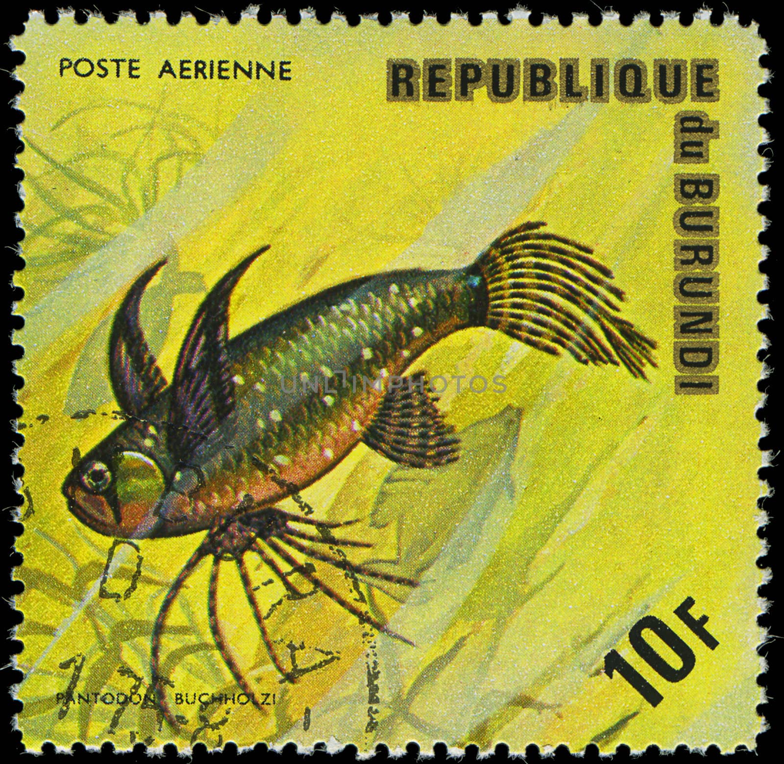 Republic of Burundi, - CIRCA 1975: A stamp printed by Burundi shows the fish Pantodon buchholzi, circa 1975