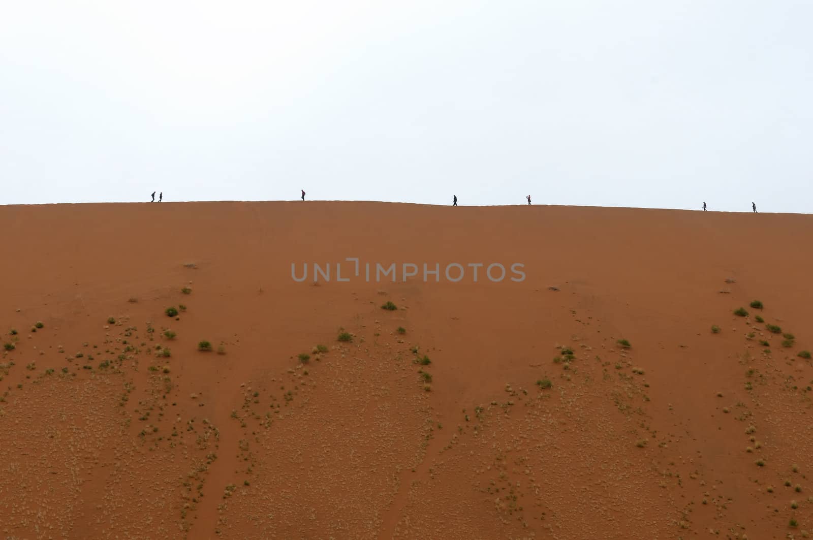 Silhouette of people on dune at Deadvlei in Namibia