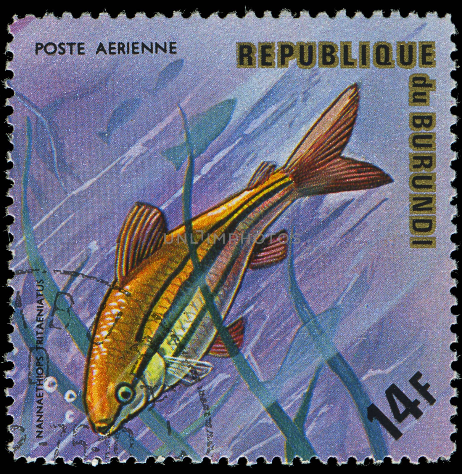 Republic of Burundi, - CIRCA 1975: A stamp printed by Burundi shows the fish Nannaethiops tritaeniatus, circa 1975