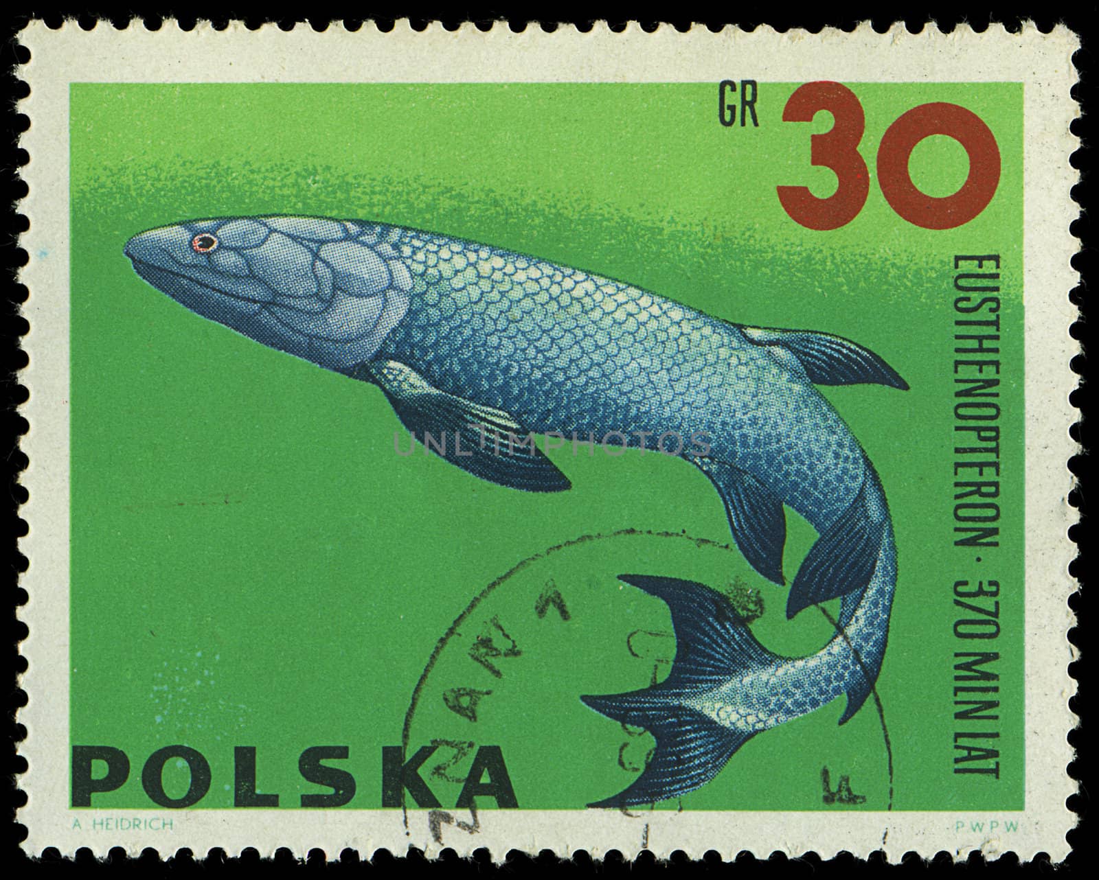 POLAND - CIRCA 1965: A stamp printed in Poland showing Eusthenop by Zhukow