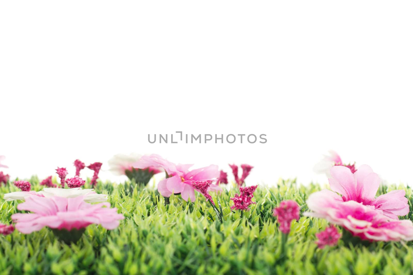 Beautiful flowers on grass
