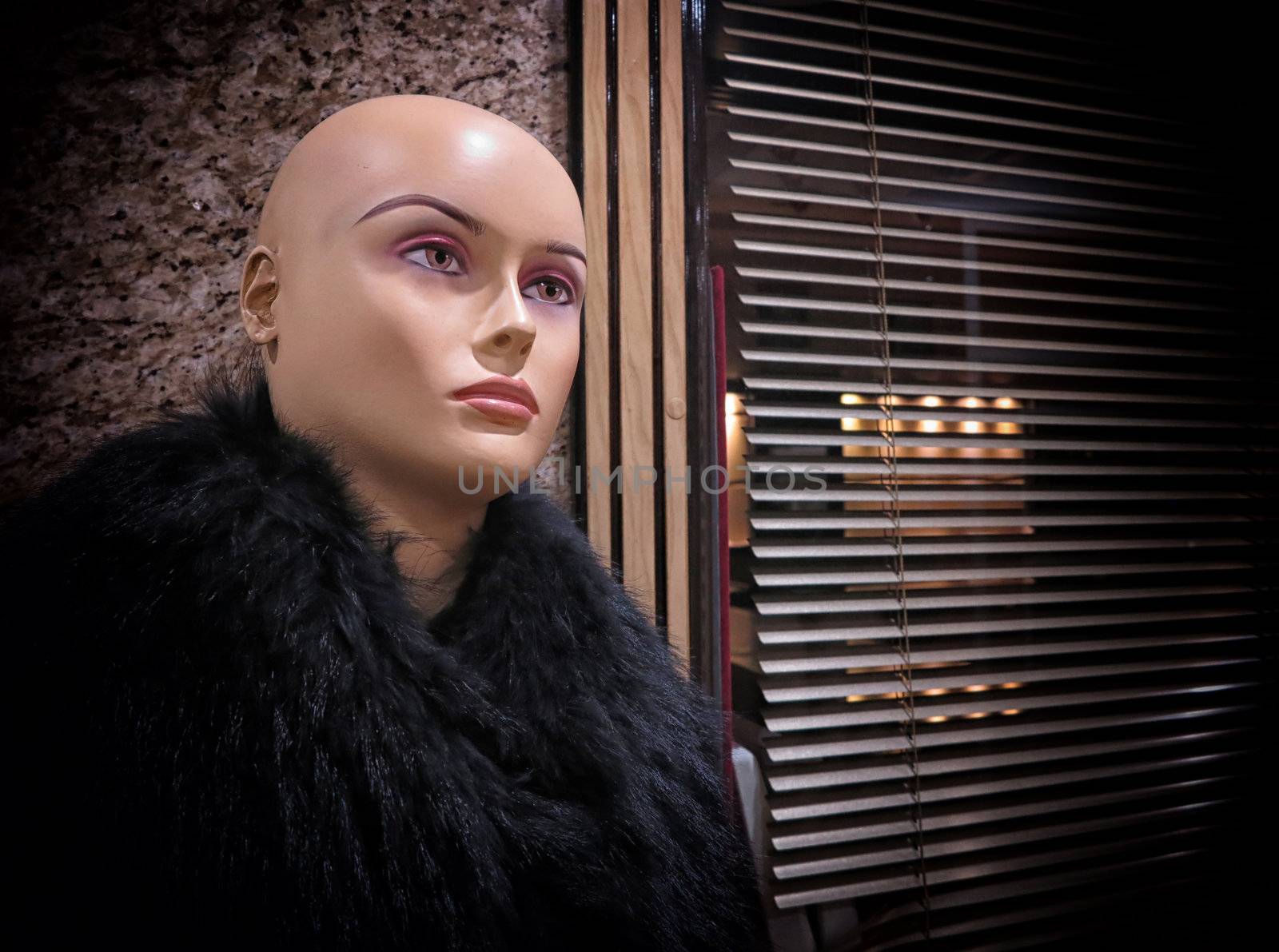 Mannequin in fur by ABCDK