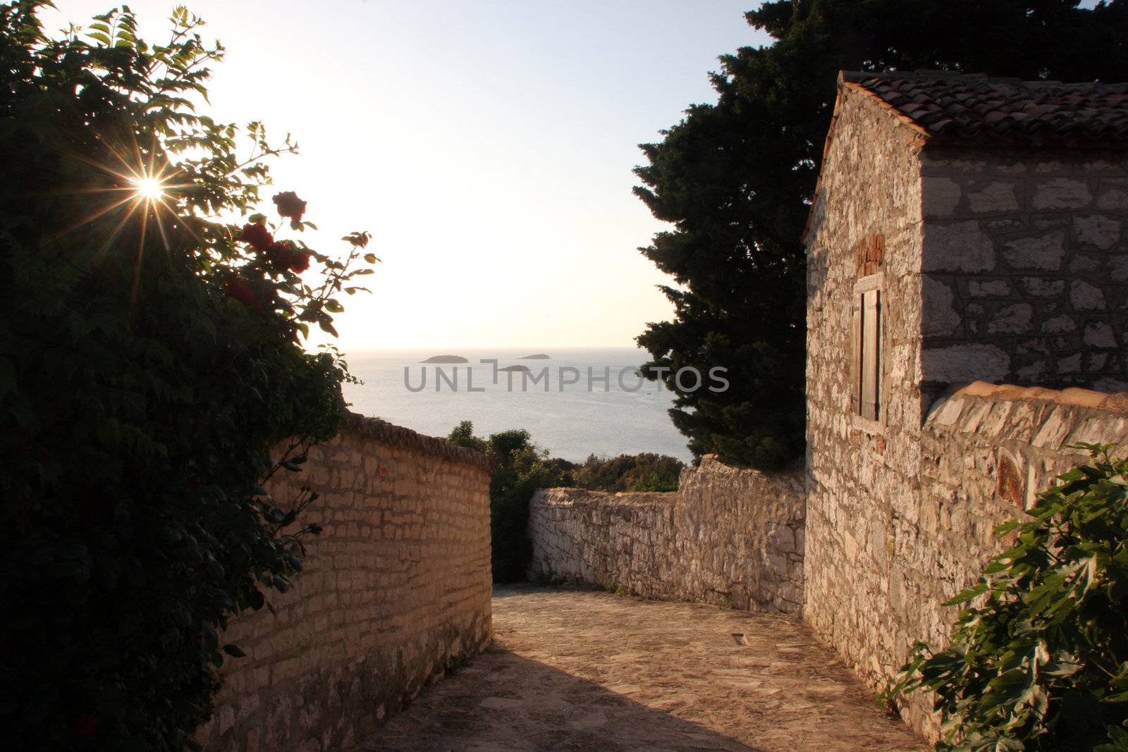 Old courtyard house - Alley in a mediterranean village