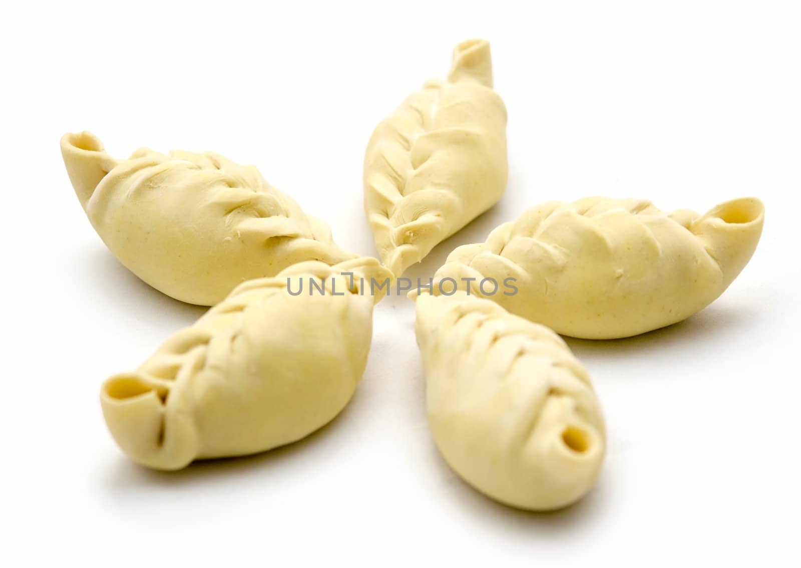 East meat dumplings on a white background