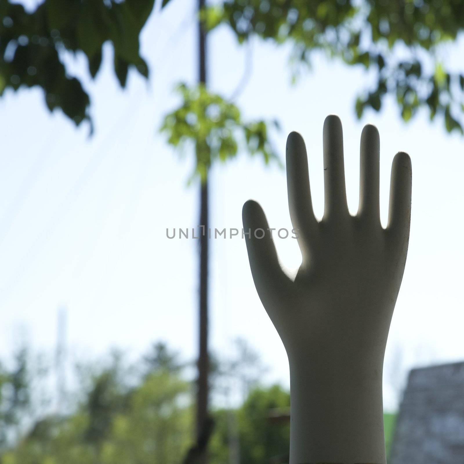 Fake hand figurine. by iofoto