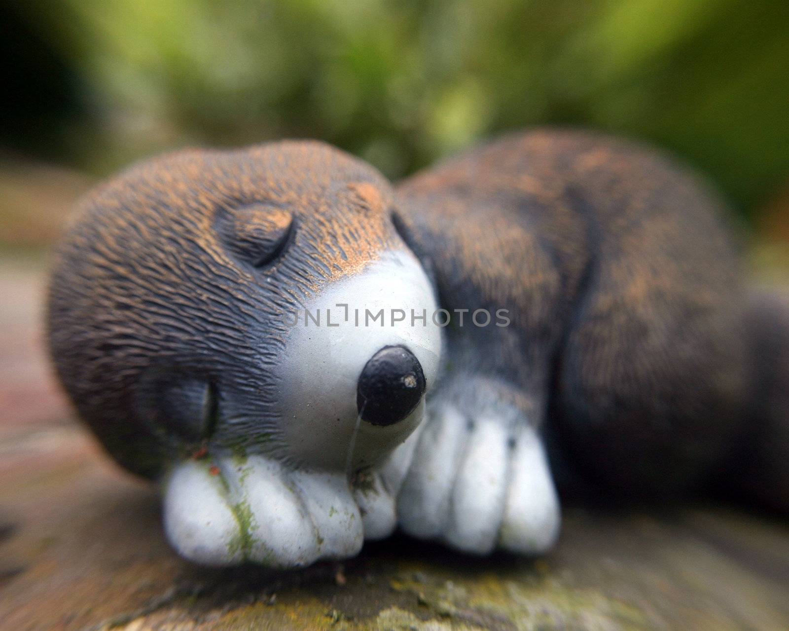 A macro of a mole in a garden...plastic one!