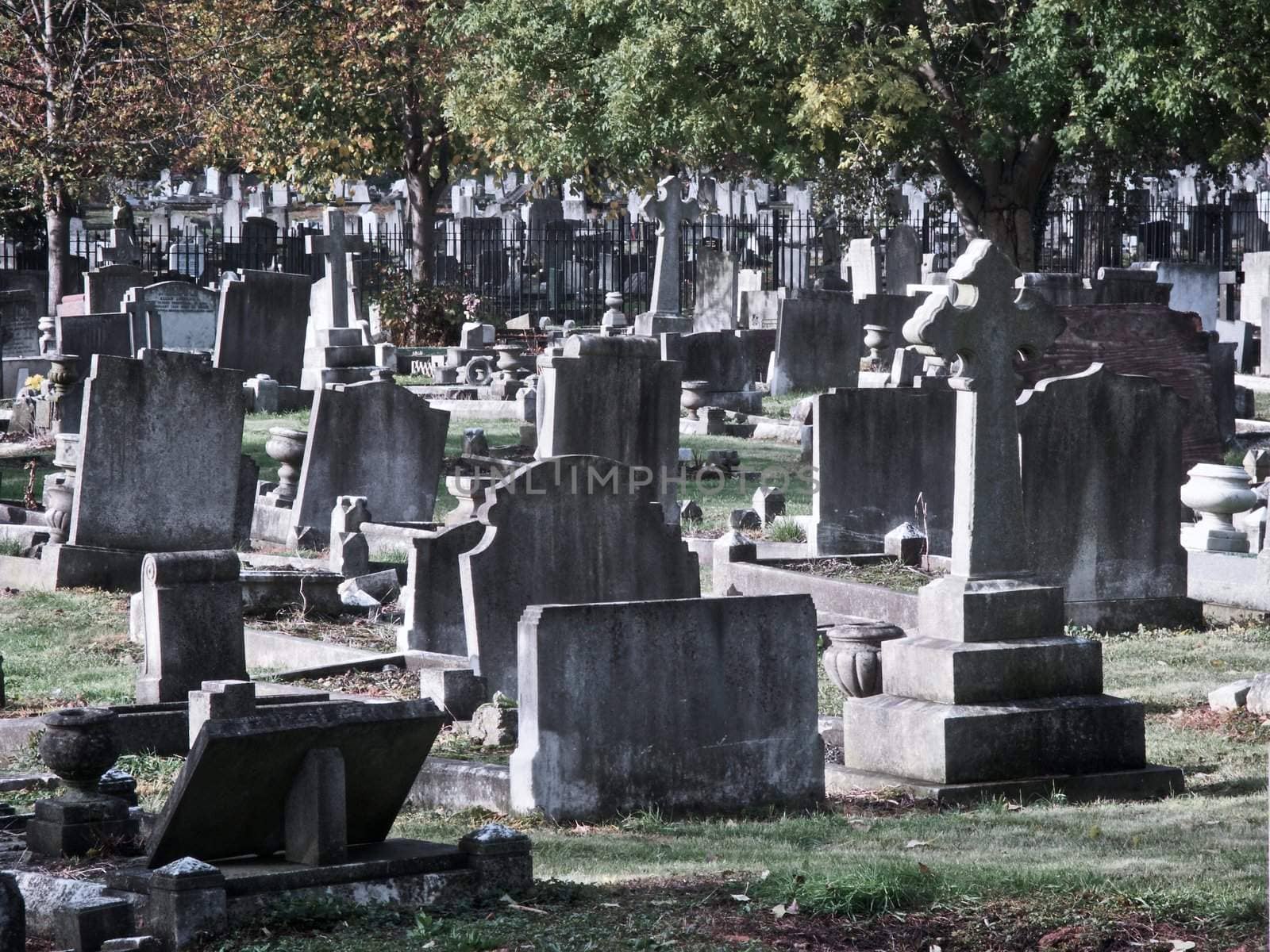 Tottenham cemetery in London