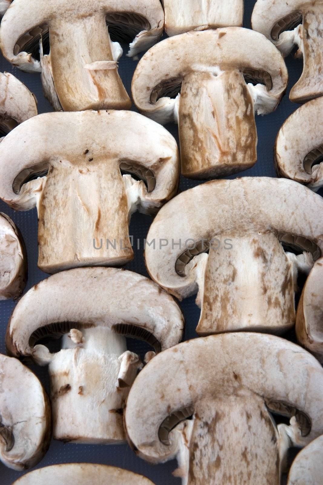 Organic mushrooms by runamock