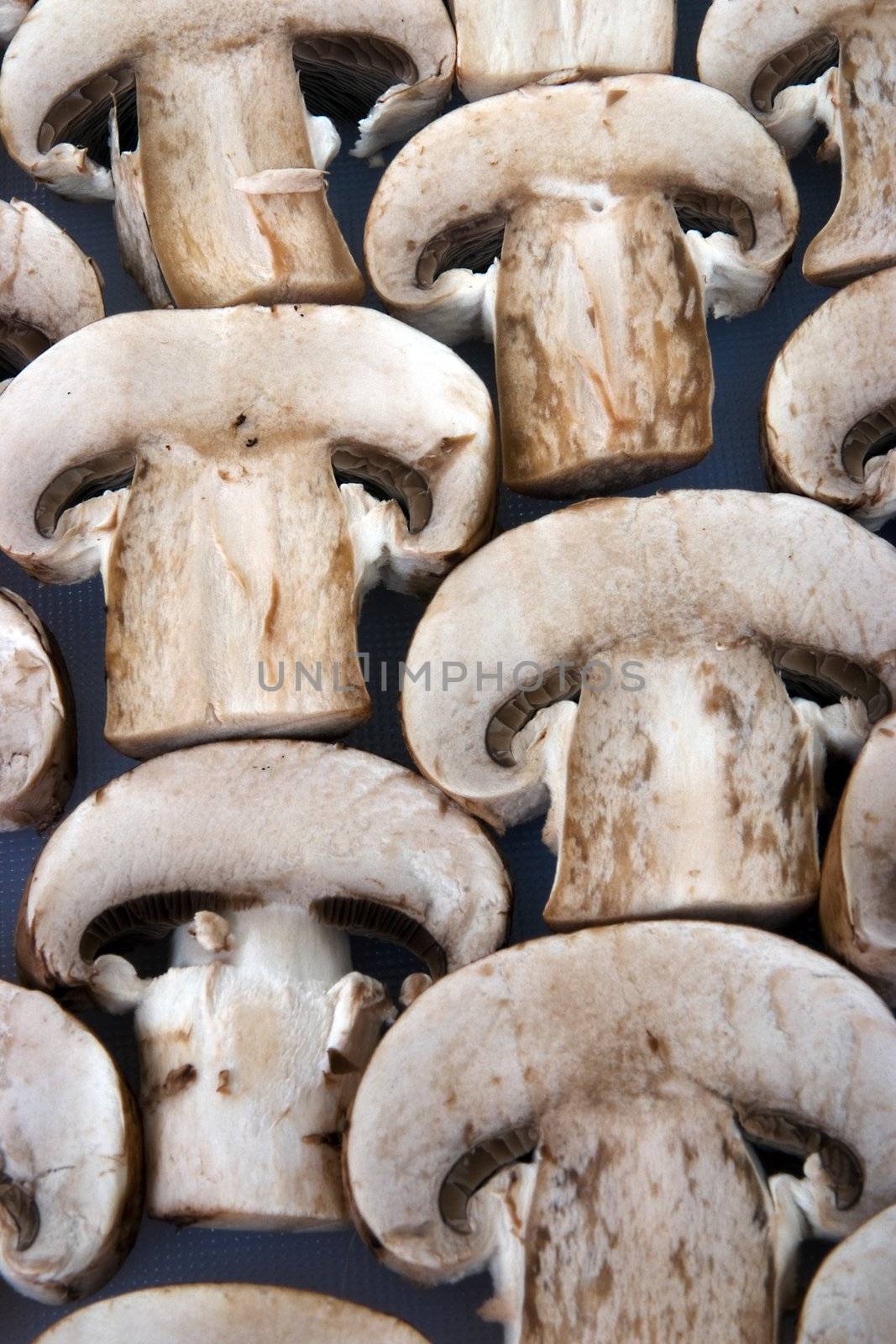 A small group of organic mushrooms in a row