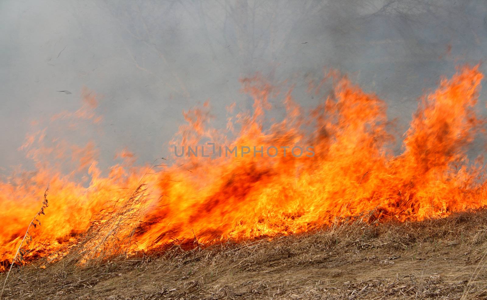 big red fire in the dry grass field