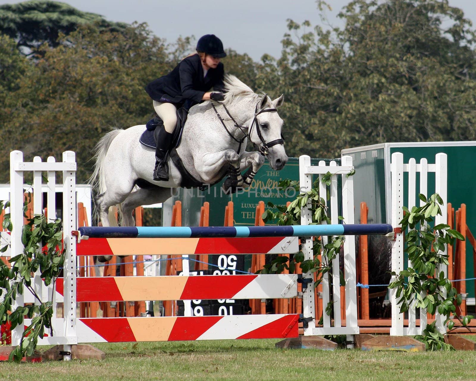 Rider jumping over a fence with her horse