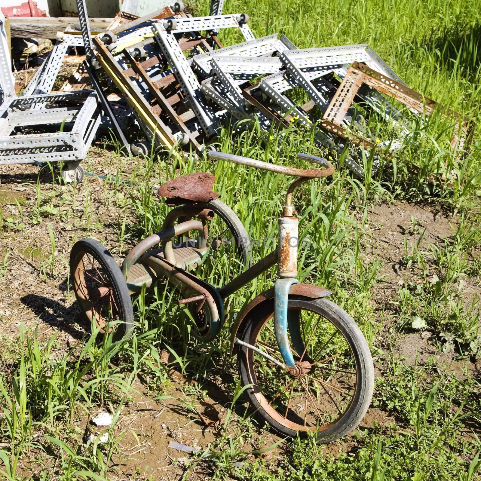 Abandoned rusty tricycle. by iofoto