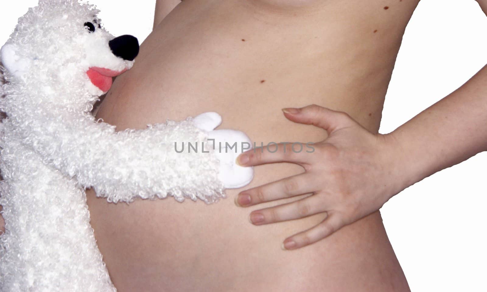 The image of a stomach of the pregnant woman