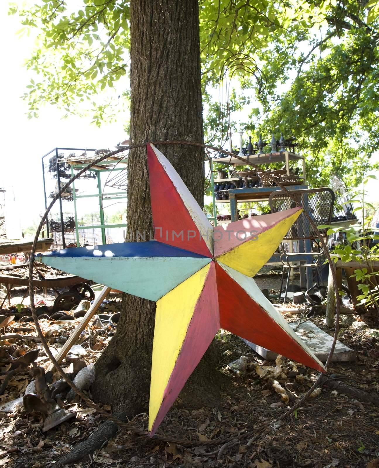 Colorful painted star made of metal leaning against tree.