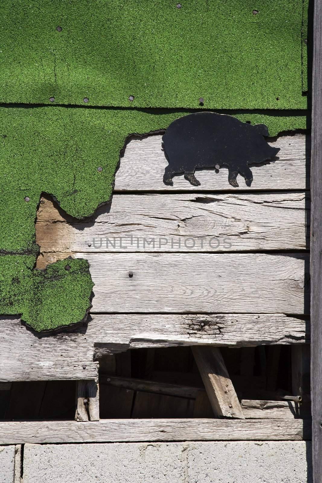 Wooden siding with green turf and pig drawing.