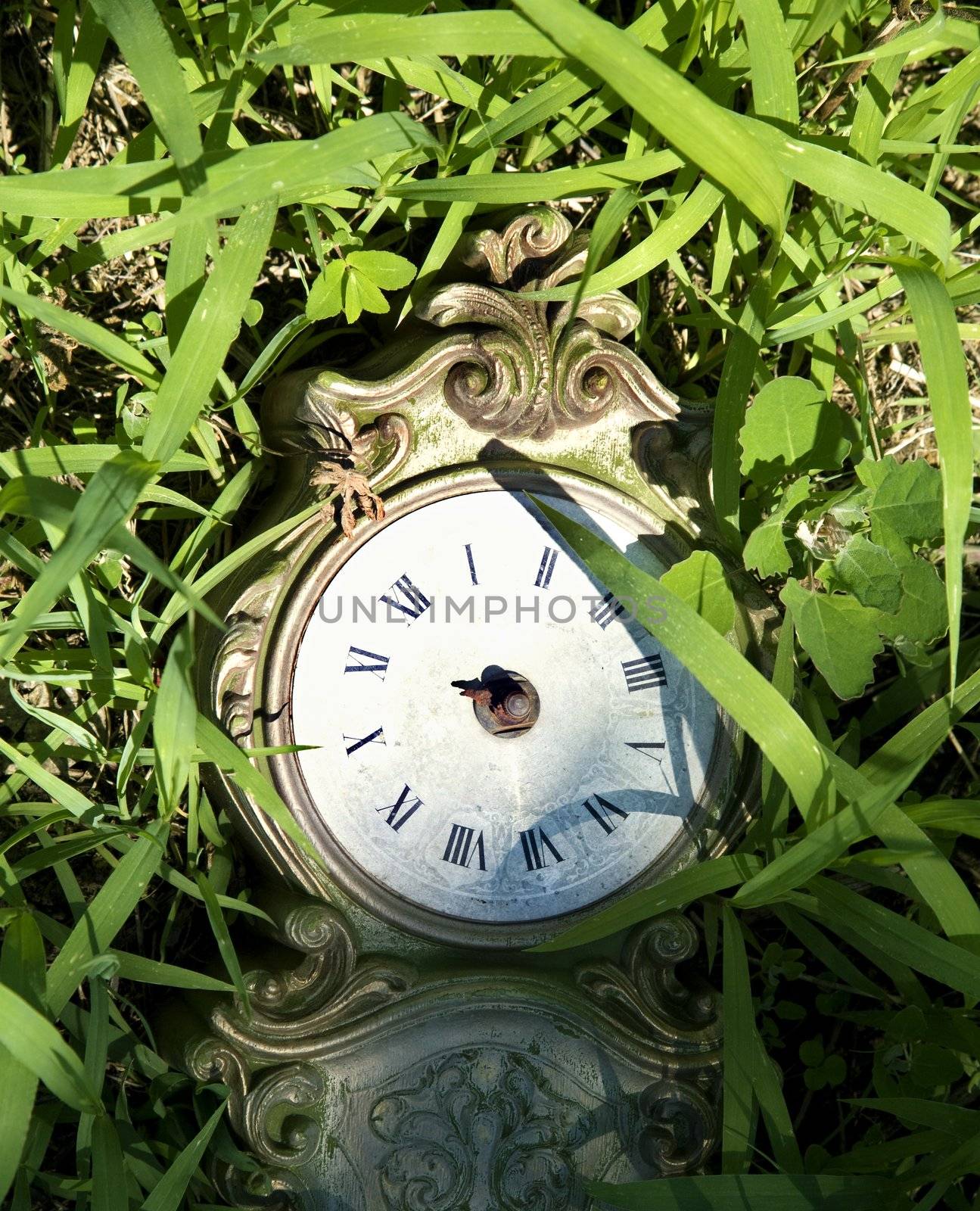 Broken clock lying in grass.