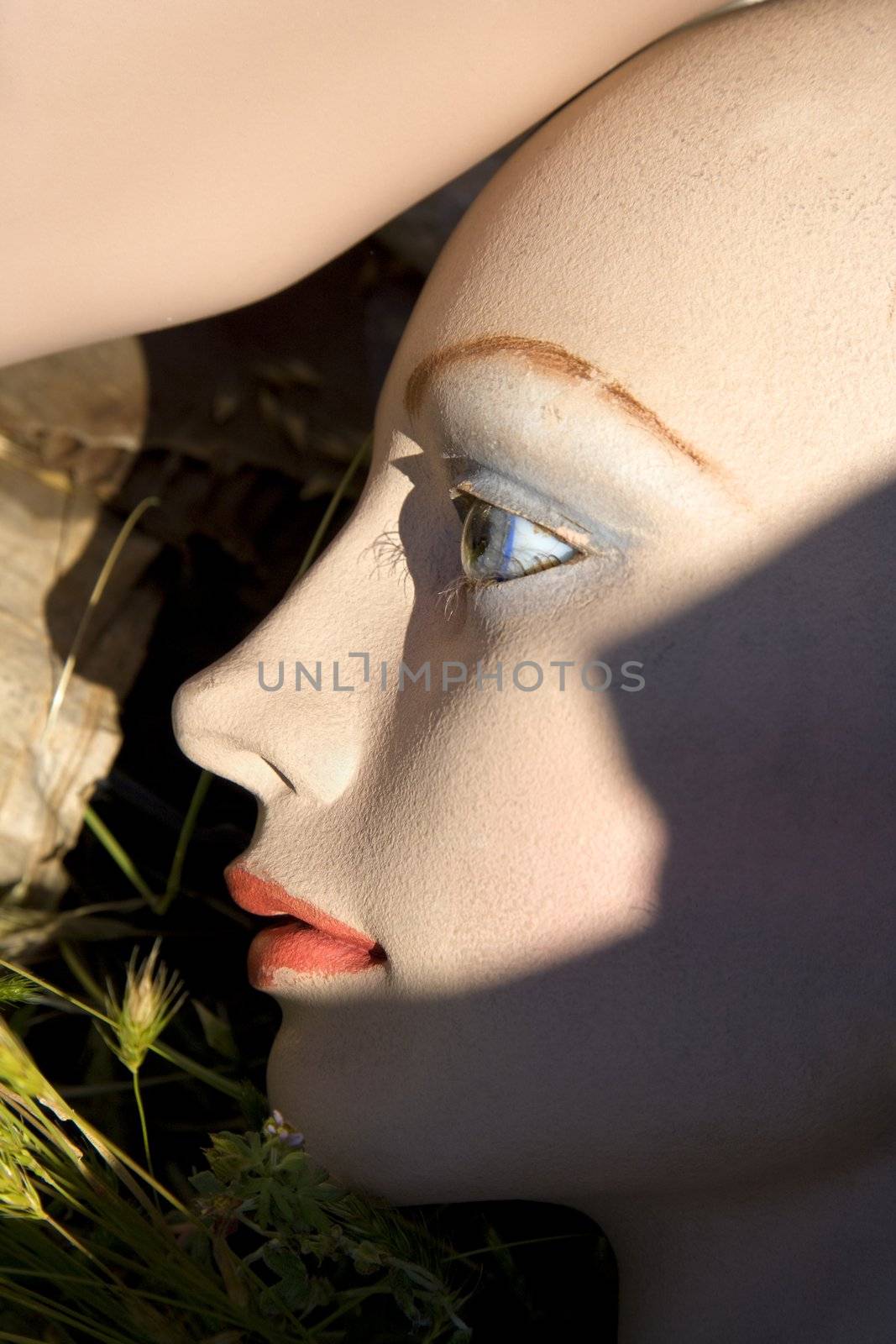 Old mannequin face on ground. by iofoto