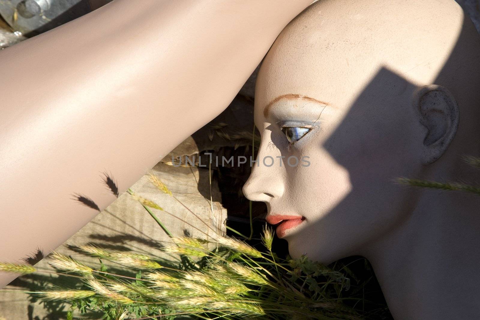 Old mannequin on ground. by iofoto