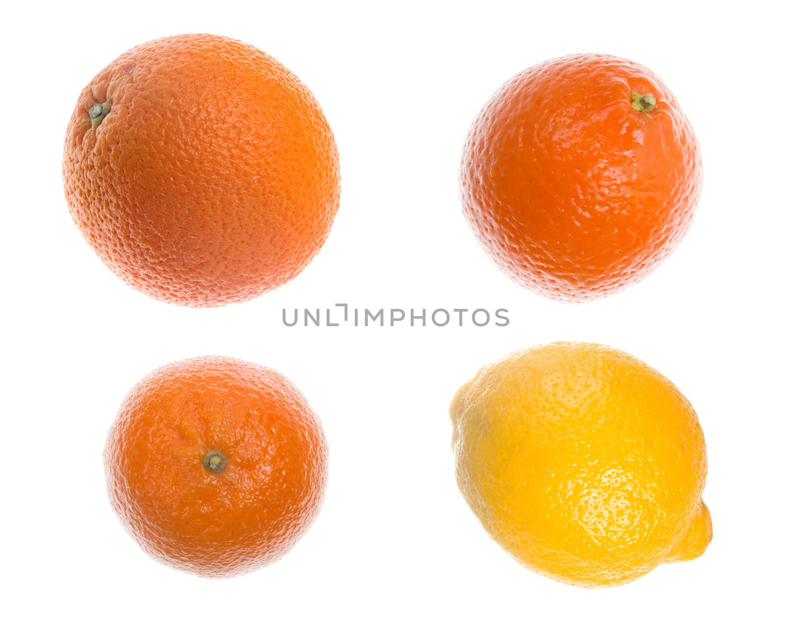 Citruses isolated on white  background.orange; lemon;tangerine